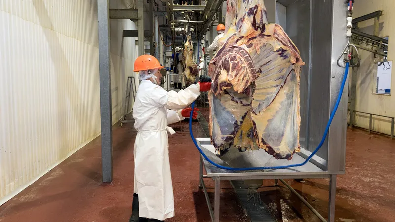 Мясной цех, мясо, разделка мяса, цены на мясо, мясная продукция, стоимость мяса, мясной отдел