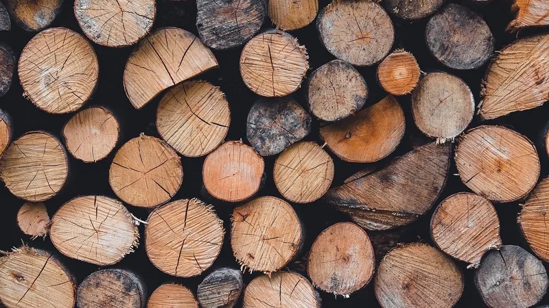 Лесоматериалы, древесина