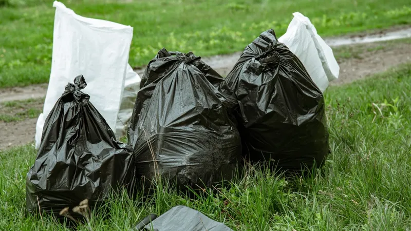 отходы, пластиковые пакеты