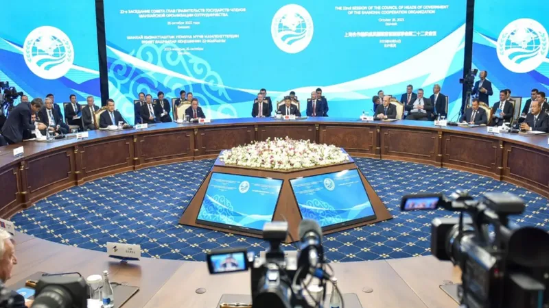 международная организация, сотрудничество