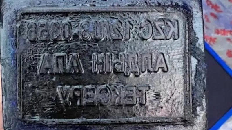 печать, штамп, мясо