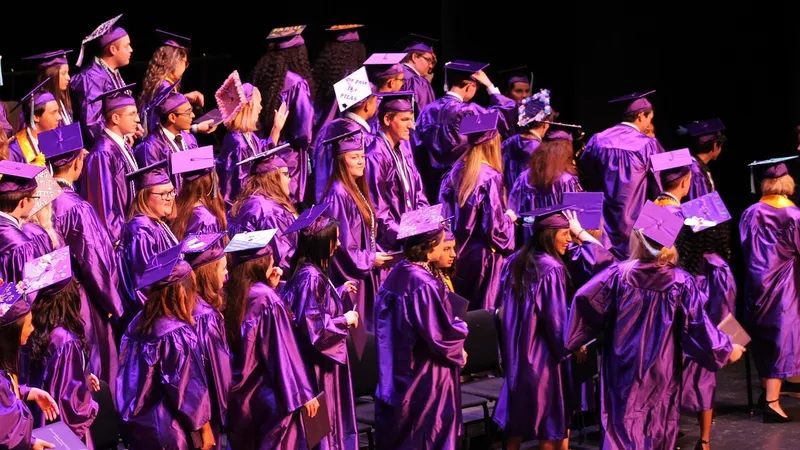 высшее образование