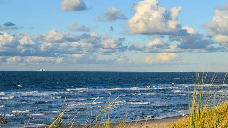 природа, водоем