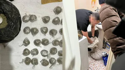 Наркотики, наркопреступления, полиция, Костанай