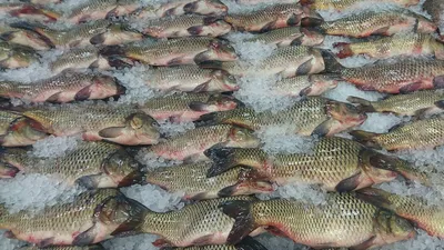 производство, продуктовые товары