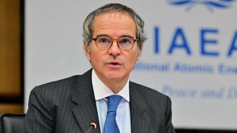 глава МАГАТЭ