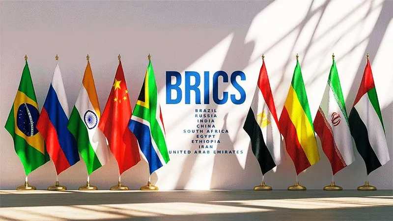 международная организация, сотрудничество