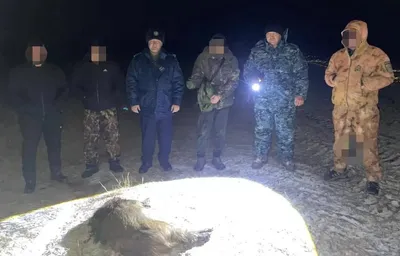 Браконьеры