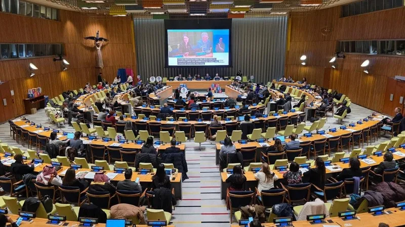 международная организация, сотрудничество