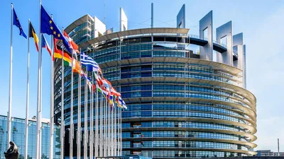 международная организация, сотрудничество