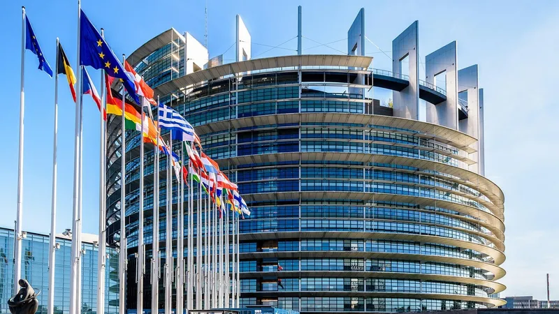 международная организация, сотрудничество