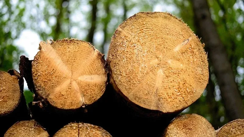 Лесоматериалы, древесина