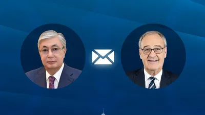 Токаев, Пармелан