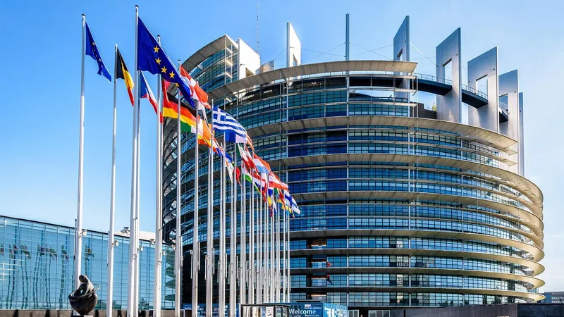 международная организация