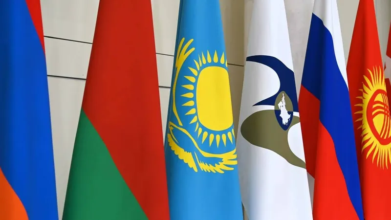 международная организация, сотрудничество