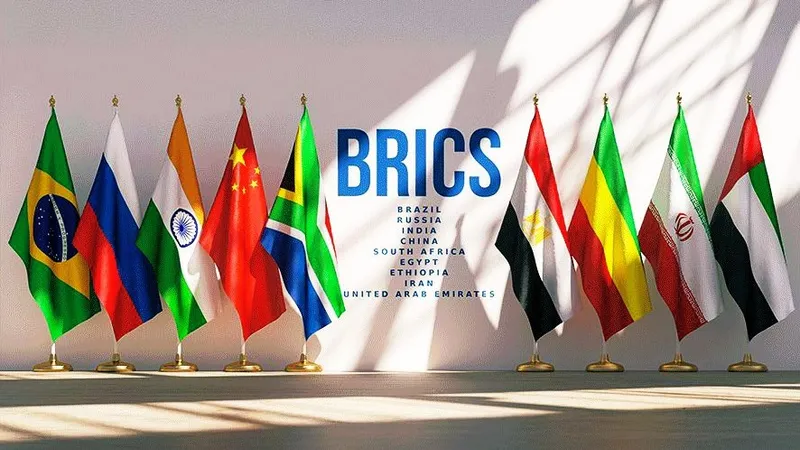 международная организация, сотрудничество