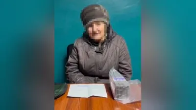 пенсионерка, Павлодар, полиция