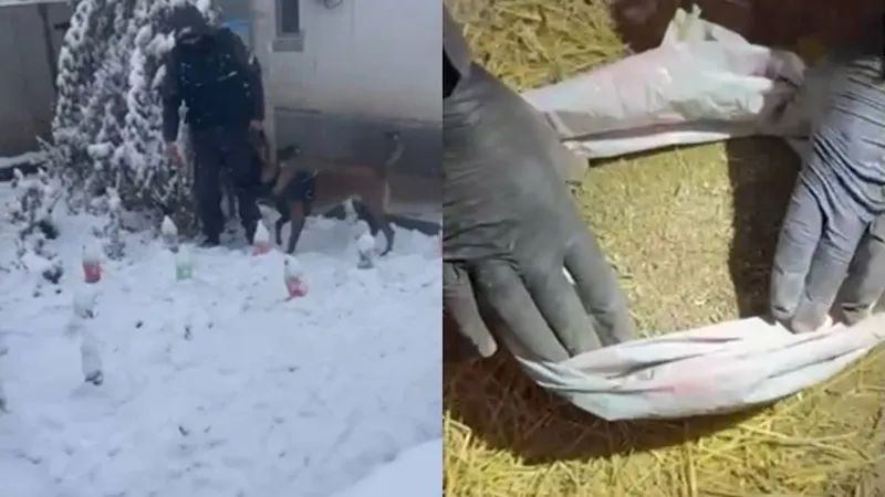 наркотики, задержание, Алматы