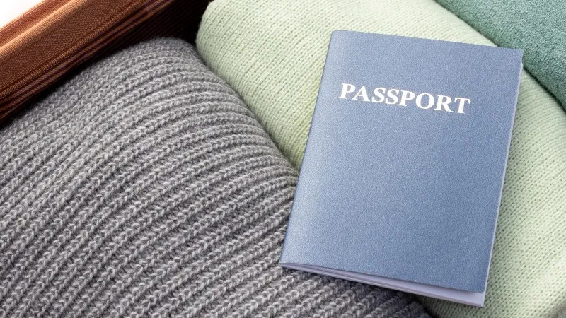 документ, визы