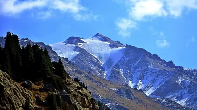 снег,. природа