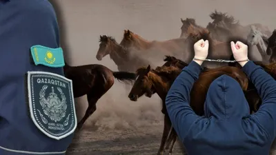 скотокрадство, задержание, лошади, коровы, табун, полиция