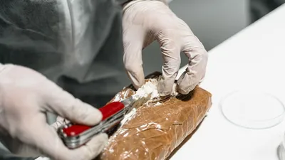 запрещенные вещества, контрабанда