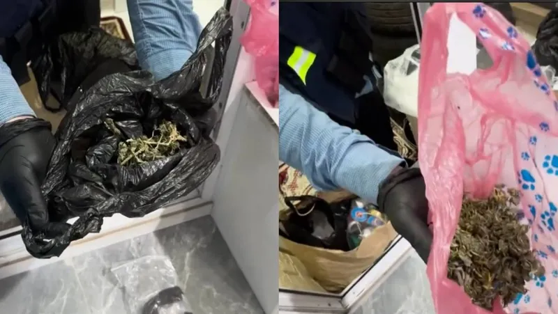 Наркотики, наркопреступления, полиция