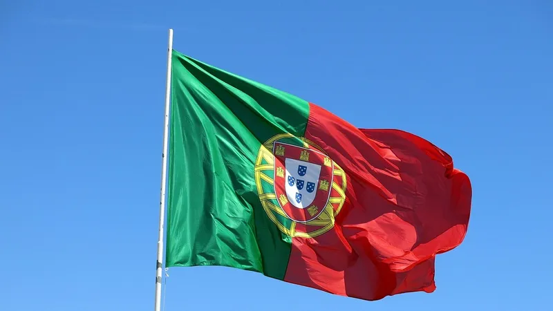 государственные флаги