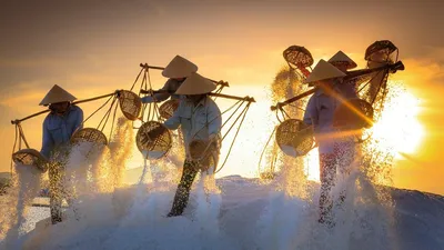 статистика, безработица