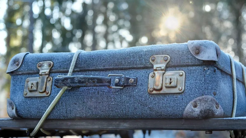 багаж, ручная кладь