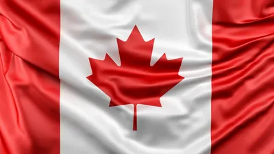 государственный флаг