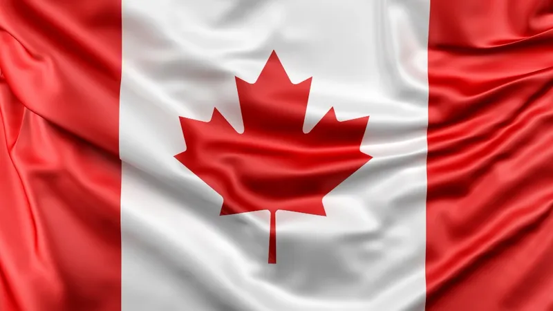 государственный флаг