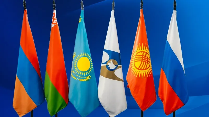 организация, сотрудничество