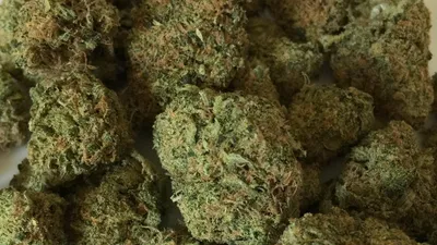 наркотическое вещество