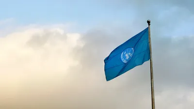 официальный флаг организации