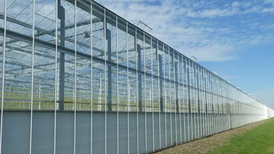 агропромышленность, растеневодство