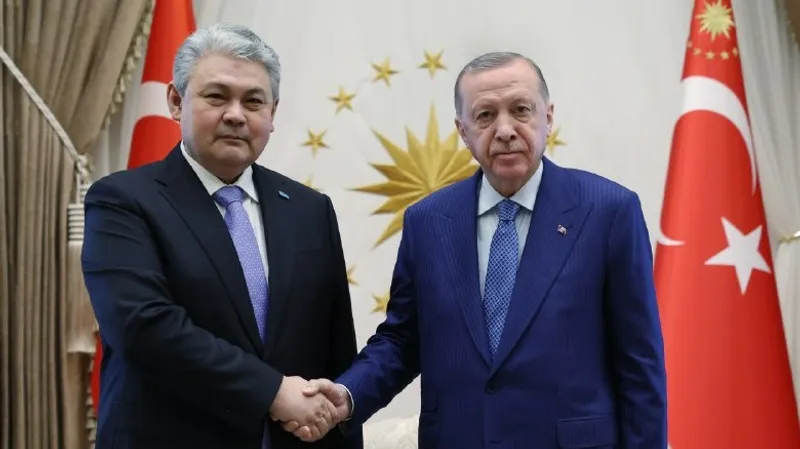 Анкара, встреча с президентом