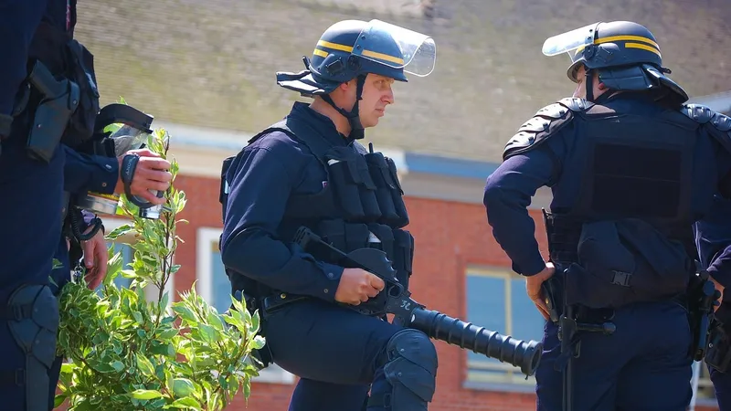 правопорядок, закон