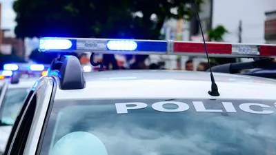 правопорядок, закон