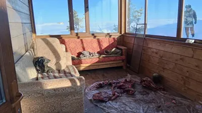 Добыча на незаконной охоте