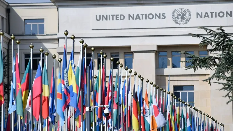 организация объединенных наций