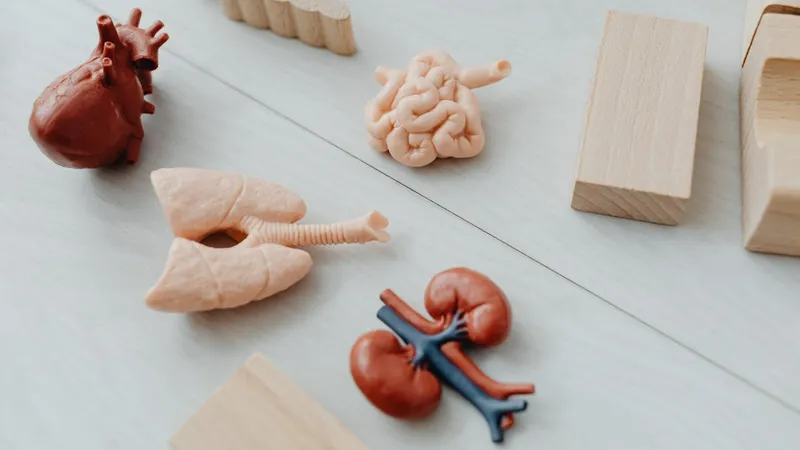 трансплантация, пересадка органов