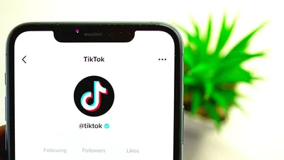 мобильное приложение, соцсеть