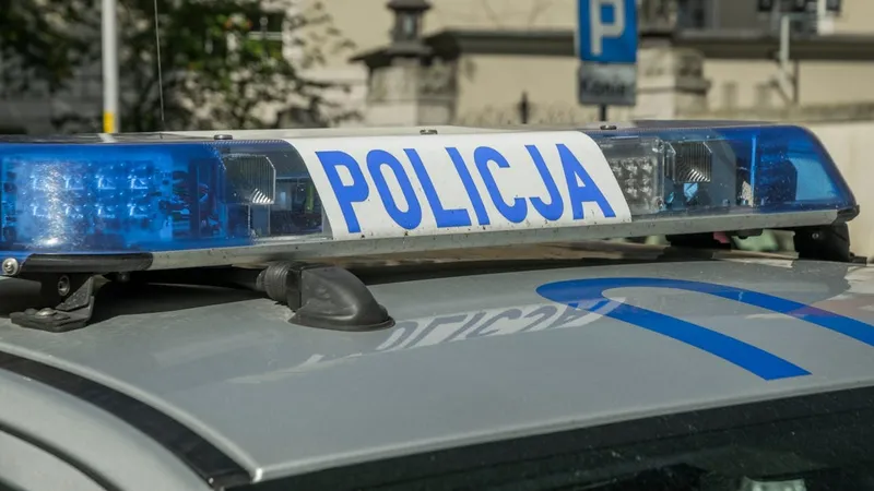 правопорядок, закон