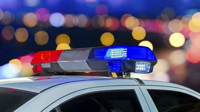 правопорядок, закон