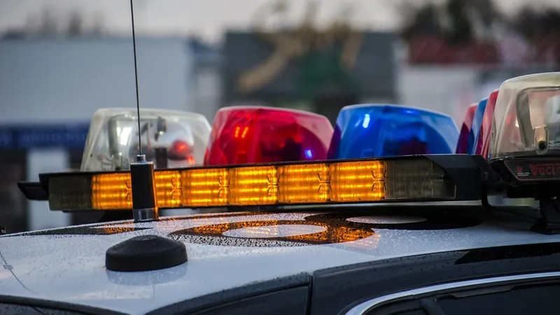 правопорядок, закон