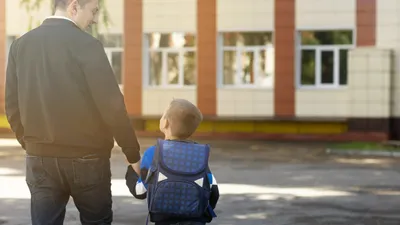 образование, учеба