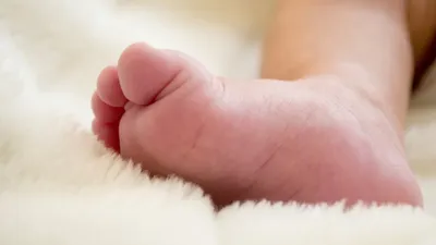 уровень рождаемости, статистика