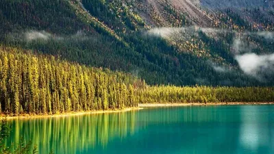 биоразнообразие, природные ресурсы