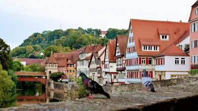 город, жилой массив